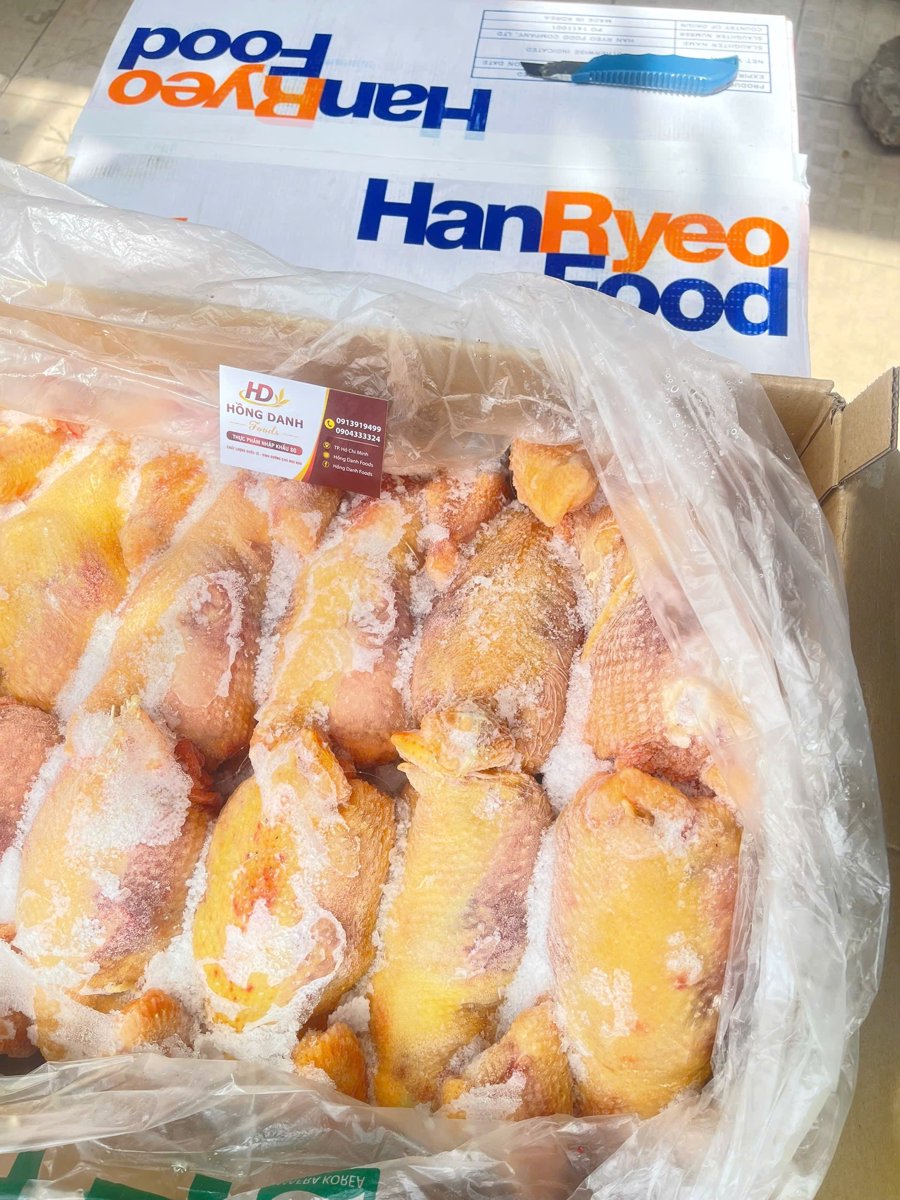 GÀ DAI HÀN QUỐC HANRYEO