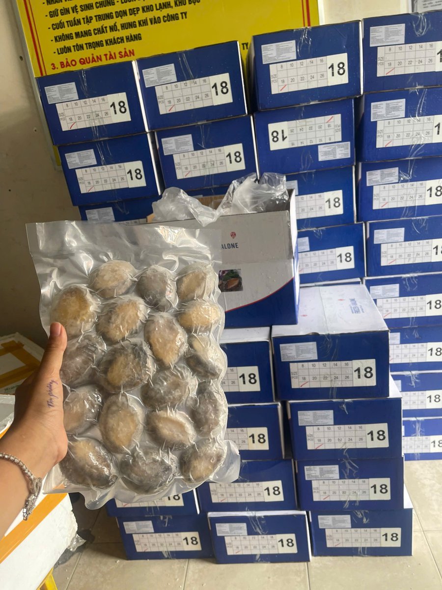 Bào ngư hàn quốc, co sẵn size 12/14/16/18/20/22