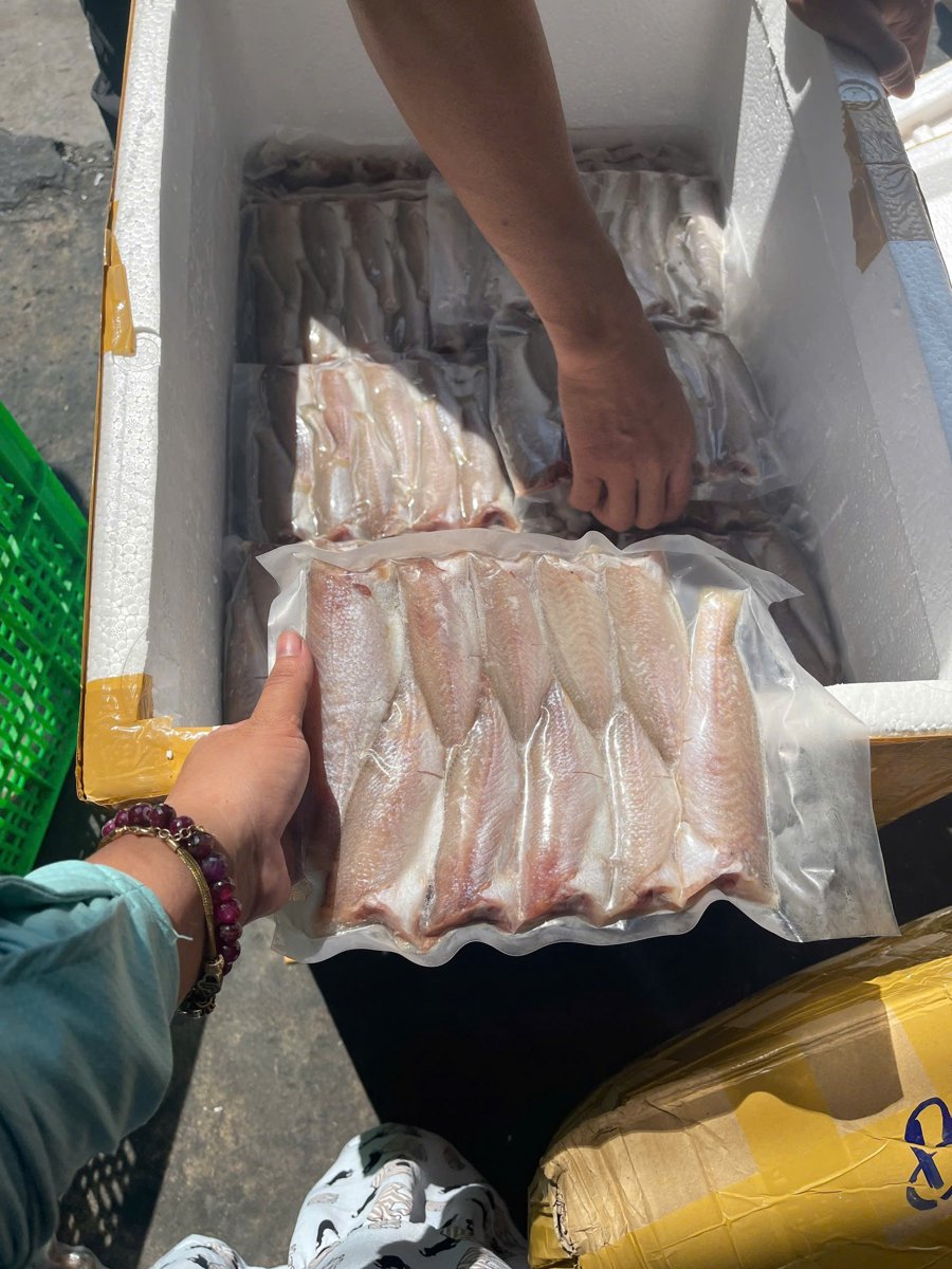 cá đù 1 nắng size 20 con vũng tàu,